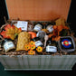 Pumpkin Gratitude - Large