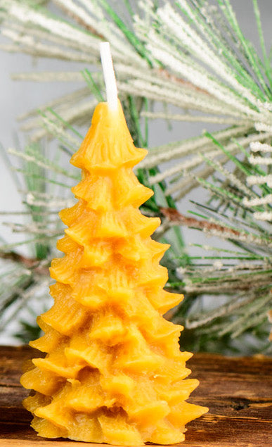 Evergreen Tree Beeswax Candle